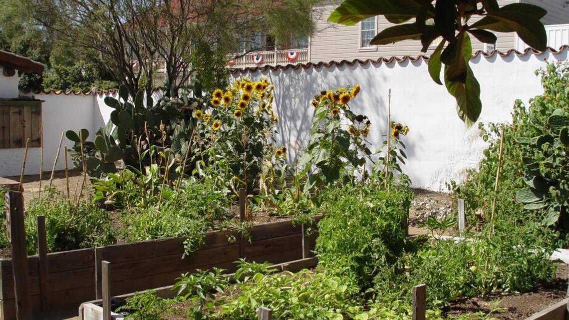 Raised beds
